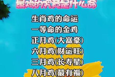 7月份出生的属鸡男孩怎么起名姓名