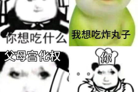 紫薇斗数文案搞笑