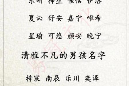 姓名免费打分测试100分