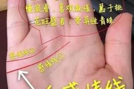 女生算命看左手吗