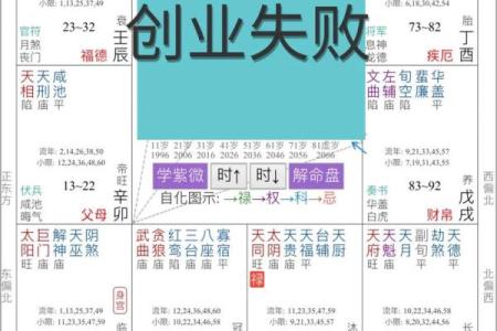 钦天门紫微斗数 斗数基础第20讲 贪狼（一）