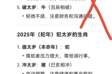 开个算命网站