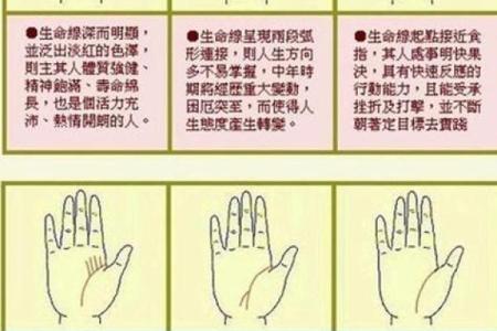 看手相算命：第四课 论事业命运