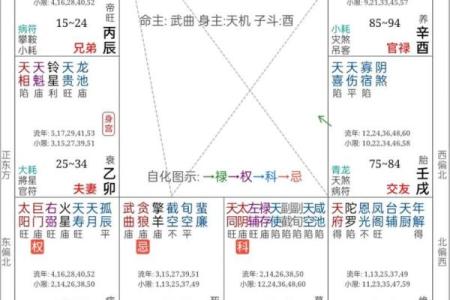 紫薇斗数 文曲化忌怎么如何化解