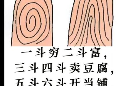 手指斗算命 手上有几个斗适合当老板