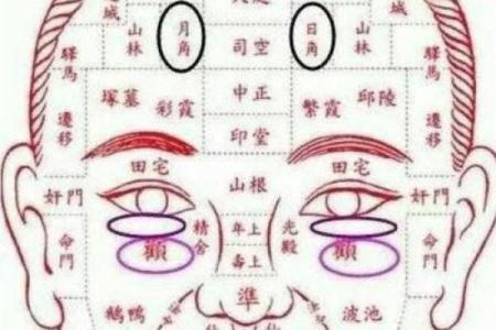 26种面型算命图解