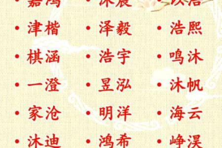 2019年3月19号寅时出生的男孩应该起什么样的名字姓名