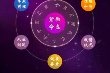 低调破解紫薇斗数