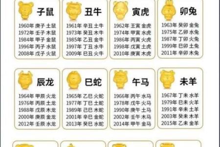 如何查询八字五行缺失情况