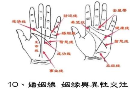 手纹线看相 手纹看相算命图解