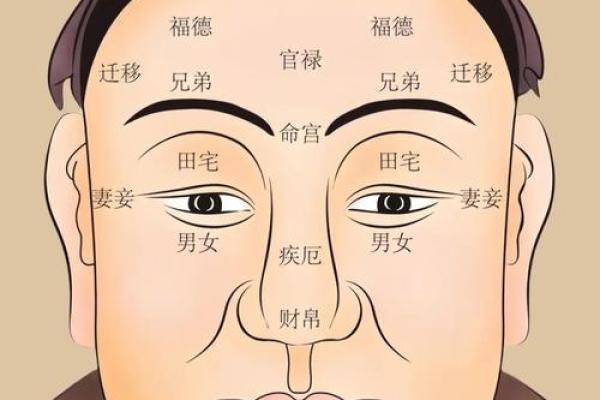 颧骨面相 颧骨面相算命图解