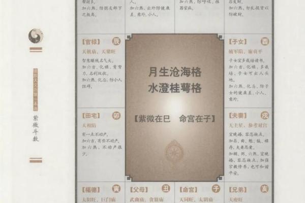 名人紫薇斗数案例