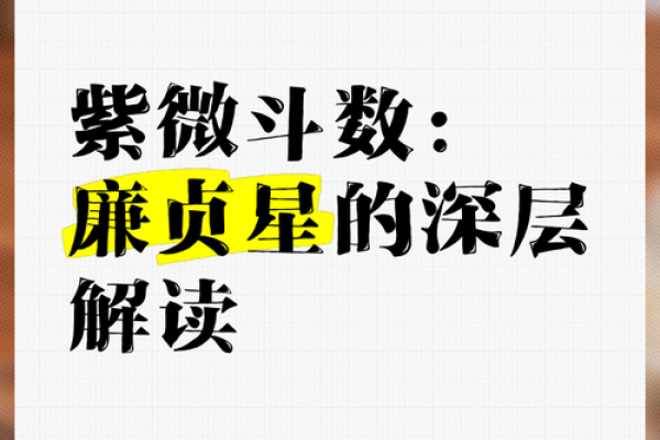 紫薇斗数元贞利