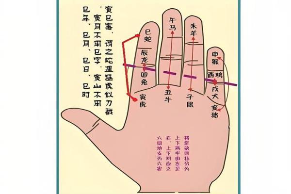 算命算相克