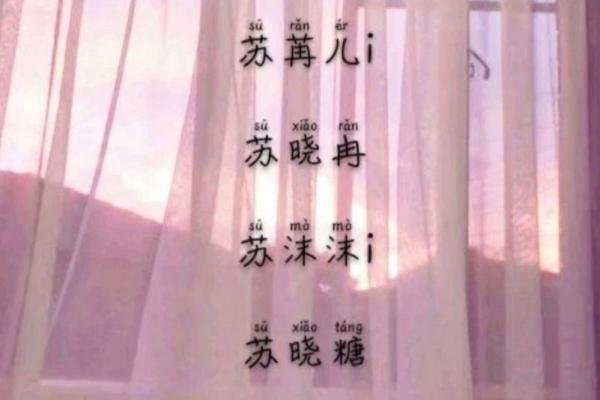 苏姓女孩名字大全-苏姓女孩起名字大全-苏姓名字大全姓名