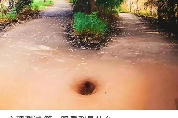神准测试--测测看！八月你走什么运？