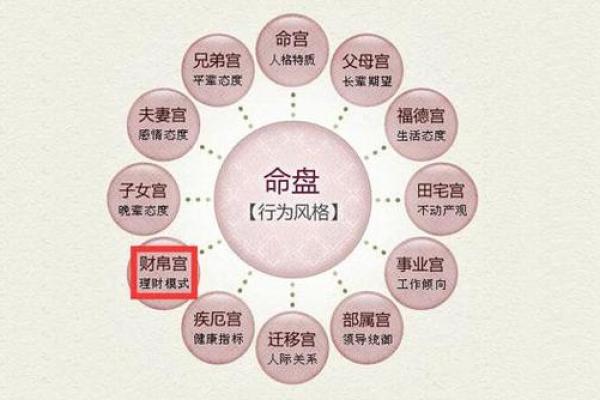 戊戌年在紫薇斗数的什么宫