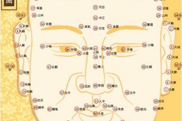 眼相算命图解大全