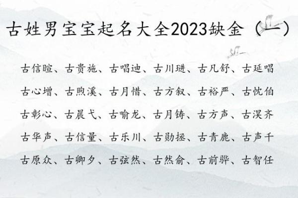 属蛇亥时出生的男孩应该如何起名，适用哪些字姓名