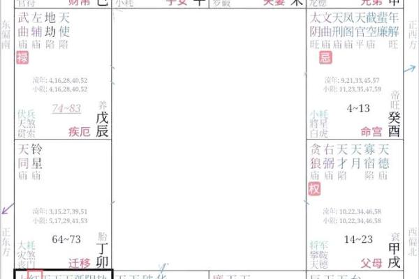 年紫薇星盘查询