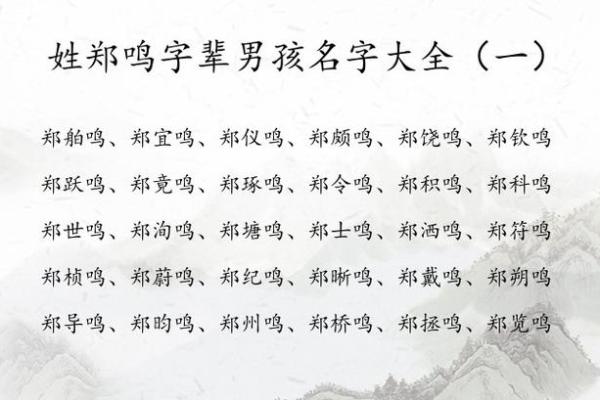 郑姓男孩名字大全-郑姓男孩起名字大全-郑姓名字大全姓名