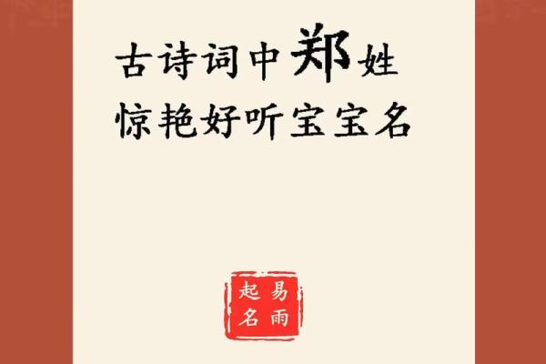 郑姓男孩名字大全-郑姓男孩起名字大全-郑姓名字大全姓名