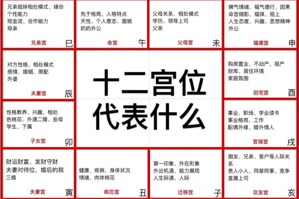 紫薇斗数象意