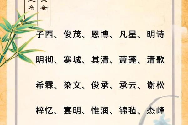 2019年6月28号卯时出生的男孩应该起什么样的名字姓名