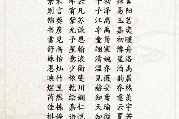 属猪巳时出生的男孩如何取名字，适合用什么字姓名