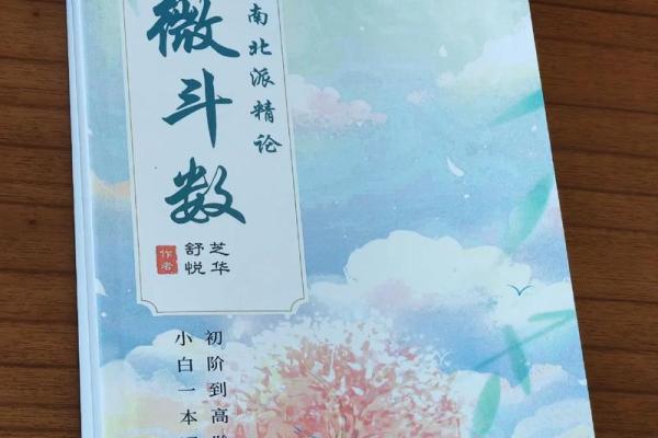紫薇斗数哪个版本好看