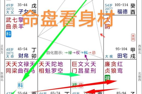 疾厄宫紫薇天相火星