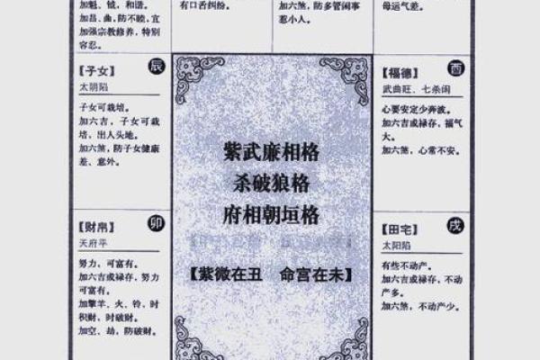 紫薇斗数流分盘