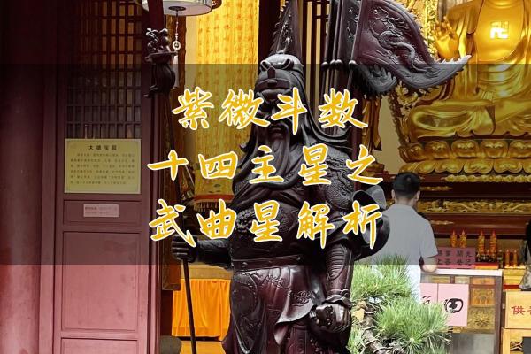 紫薇斗数武曲化科坐命辰宫