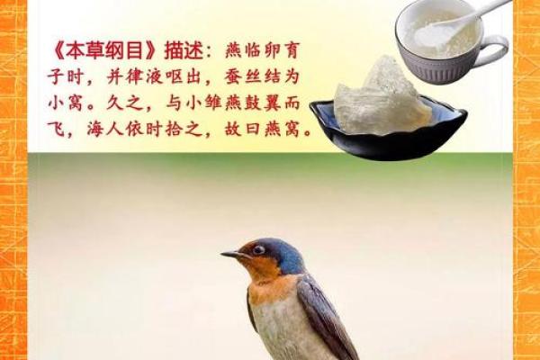 燕子科学风水