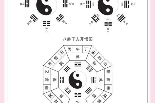 八字木少
