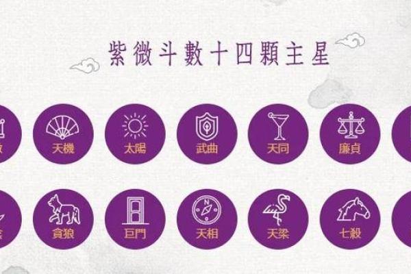 紫薇斗数爱好群