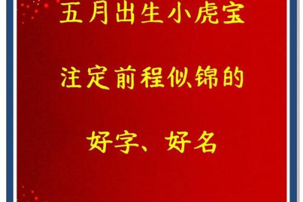 12月份出生的属虎男孩如何取名字姓名