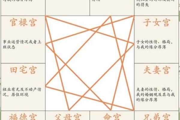 紫薇斗数内局