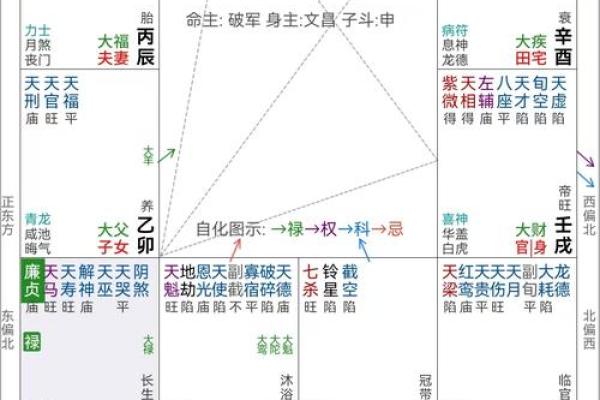 紫薇斗数看月运