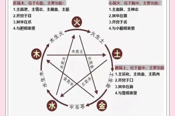 查八字五行