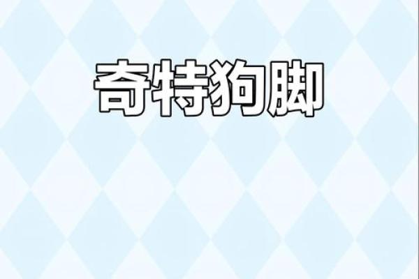 狗狗八字