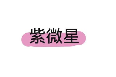 紫薇星耀的寓意