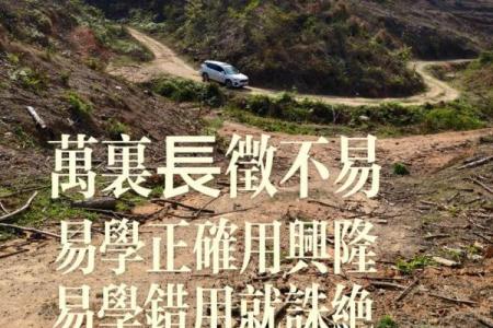 为情所困的风水格局都有哪些？