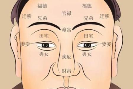 颧骨面相 颧骨面相算命图解