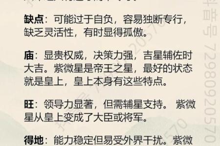 紫薇斗数音频教学