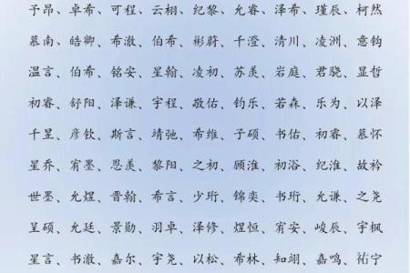2019年6月5号卯时出生的男孩起名时要注意什么姓名