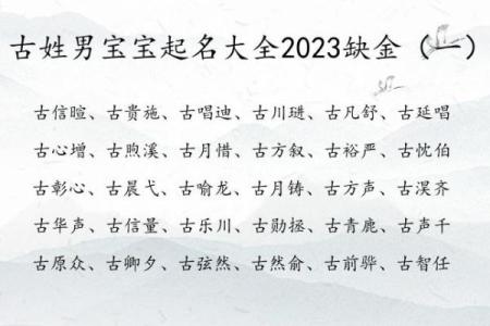 属蛇亥时出生的男孩应该如何起名，适用哪些字姓名