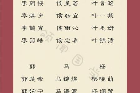 晚上8点出生的属蛇男孩如何起名，适合用什么字姓名