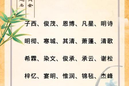 2019年6月28号卯时出生的男孩应该起什么样的名字姓名