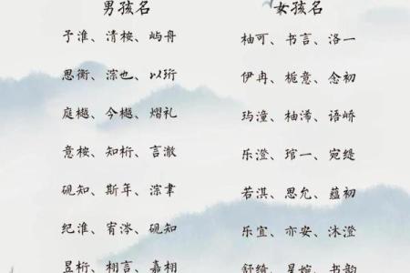2019年4月16号卯时出生的男孩起名方法姓名